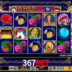 367bet Rio de Janeiro - Bonus Terms